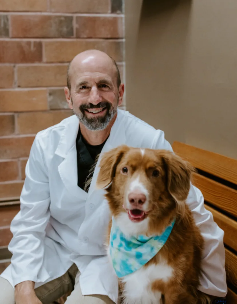 Dr. Mike Villano, DVM at Arroyo Vista Veterinary Hospital